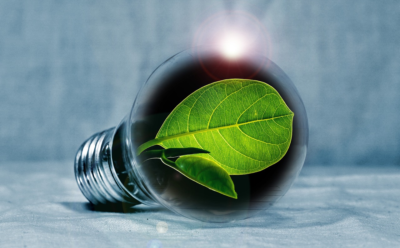lightbulb 2631864_1280